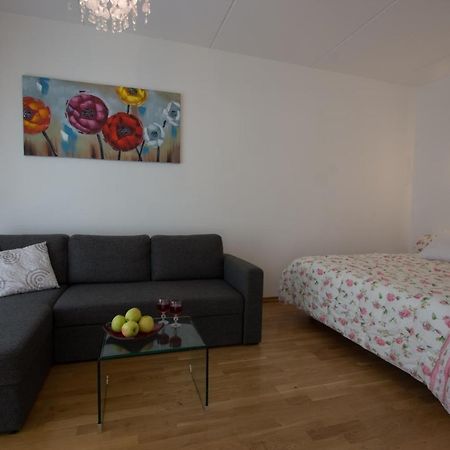 Kueueni 5B Apartment 塔尔图 外观 照片